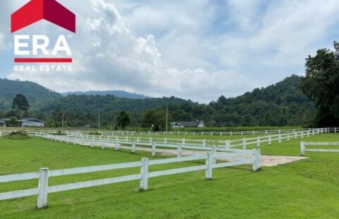 ขายที่ดินสวย แบ่งแปลงให้เลือกตามที่ชอบ บรรยากาศชายเขาแนวคันทรี่ มีลำธารไหลผ่าน เหลือเพียง 9 แปลงเท่านั้น