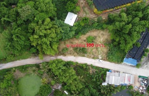 ขายที่ดินศรีราชา100ตรว.