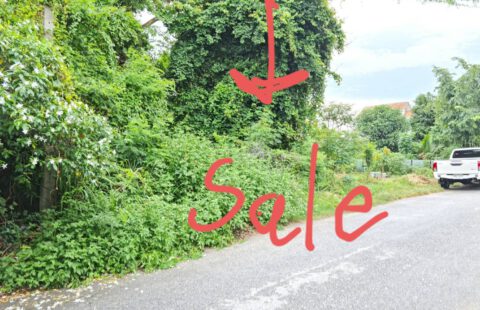 ขายที่ดินพร้อมสิ่งปลูกสร้าง โซนซากค้อ-ไร่กล้วย ทำเลดีมาก (ศรีราชา-หนองค้อ ซ.10/9)