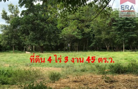 ขายที่ดินเปล่า 4 ไร่ 3 งาน 45 ตร.ว.
