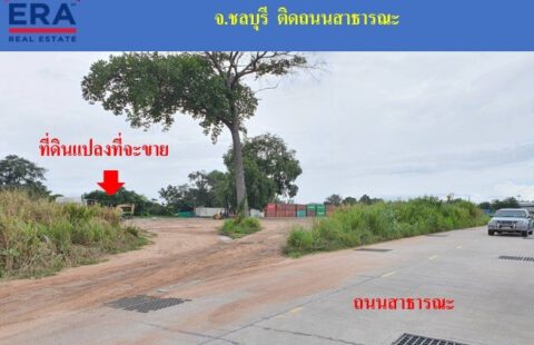 🏠🏠 #ขายที่ดิน #โซนบึงวรกิจ #นายหน้ามืออาชีพ 🏠🏠 ที่ดิน กว้าง 60 เมตร ยาว 80 เมตร