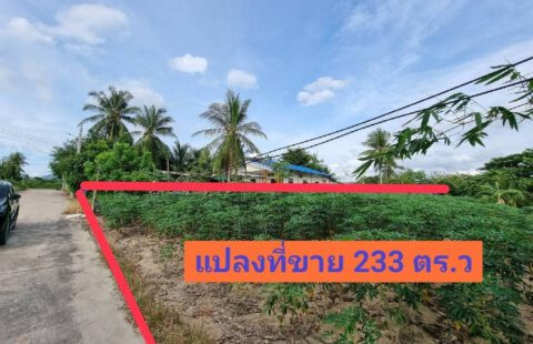 ขายที่ดินหนองขามศรีราชา พื้นที่ 233 ตารางวา