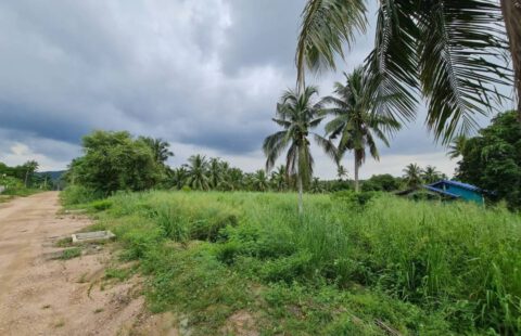 ขายที่ดินขนาด1ไร่ศรีราชา