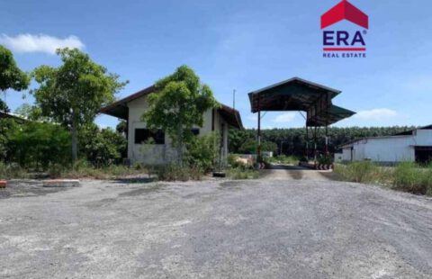 📷Vายที่ดินพื้นที่สีม่วง ขายยกแปลง 19 ไร่ 34 ตารางวา