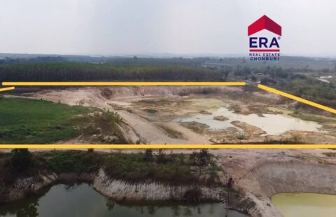 #ที่ดินสีม่วง #นิคมโรจนะ2 #บ่อวินชลบุรี