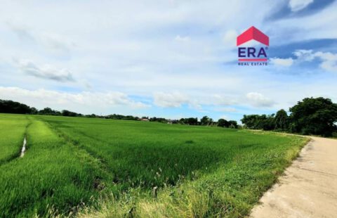 ⭕️Vายที่ดิน จำนวน 6 ไร่ 40 ตรวา  (ไร่ละ 1,500,000 บาท)  9,150,000 บาท (ต่อรองได้)‼️‼️