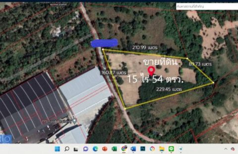 Vายที่ดิน ติดถนน หน้ากว้าง 160 เมตร ลึก 210 เมตร