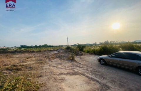 ที่ดินเปล่า 6 ไร่ 2 งาน 33 ตารางวา @ ไร่ละ 5 ล้าน