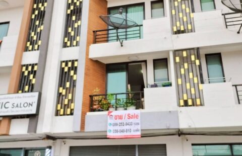 โครงการดีทาวน์ โกร์ว เป็นโครงการ complex ที่ประกอบไปด้วย อาคารพาณิชย์ คอนโดมิเนียม ร้านค้าปล่อยเช่า Portor Market