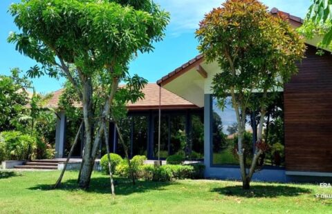 🏠 ขายบ้านเดี่ยว 1 ชั้น 2 หลัง บนเนื้อที่ 1 ไร่ 62 ตรว.