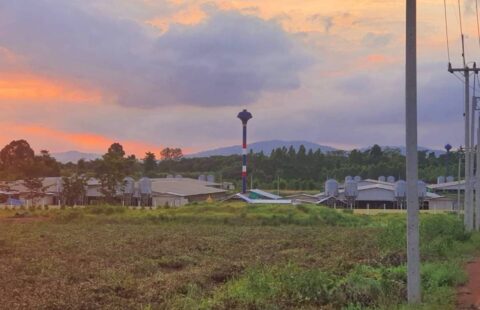 R#ขายที่ดินพร้อมฟาร์มหมู #จังหวัดสระแก้ว