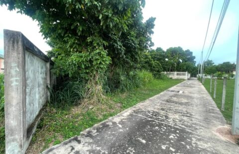 K💥 #ขายที่ดินเปล่า นาพร้าว ศรีราชา 💥  เนื้อที่ 140 ตร.ว.