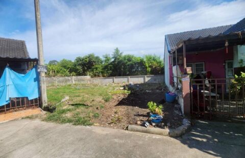 R#ขายที่ดิน 65 ตารางวา  อ.ศรีราชา ต.สุรศักดิ์เป็นที่ดินในหมู่บ้าน ใกล้ห้าง ตลาด ร้านสะดวกซื้อ โรงเรียน นิคม เดินทางสะดวกมากจ้า