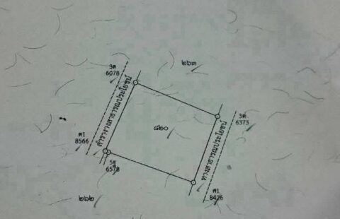 #ขายที่ดินเปล่าทำเลดี #แกลง #ระยอง (28/12/68)