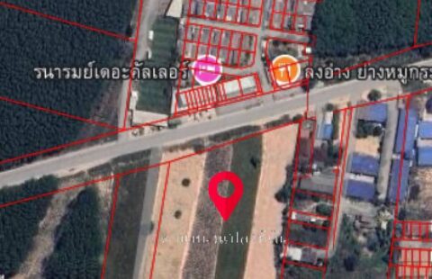 #ขายที่ดินเปล่า 11ไร่ 3งาน 98.9 ตร.ว #ปลวกแดง (11/01/69)