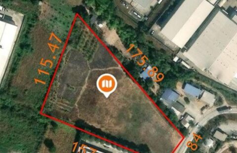 เนื้อที่ 8ไร่ 1งาน 73ตารางวา #ผังม่วงลาย (4/02/69)