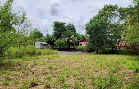 #ขายที่ดินตะเคียนเตี้ย  ต.ตะเคียนเตี้ย อ.บางละมุง จ.ชลบุรี B(28/02/69)