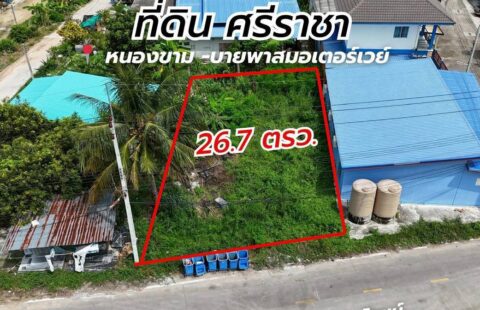 🌳 #ขายที่ดินเปล่า ศรีราชา ราคาหลักแสน! A(1/03/69.) ติดถนนสาธารณะ เส้นหลัก ชากค้อ–หนองขาม