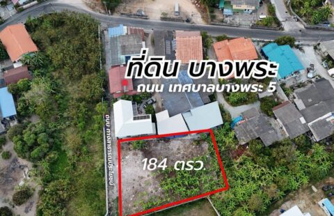 🌊✨ #ขายที่ดินเปล่า บางพระ | ทำเลดี ใกล้ทะเล ใกล้สุขุมวิท ✨🌊 A(1/03/69.)