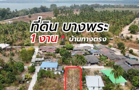 📣 #ขายที่ดินเปล่า บางพระ ใกล้อ่างเก็บน้ำบางพระ (บ้านทางตรง) A(1/03/69.)