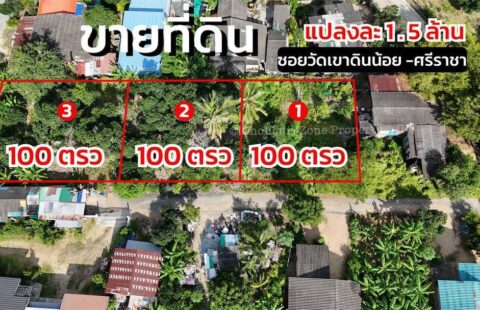 🏡 ที่ดินแบ่งขายแปลงละ 100 ตร.ว. 📍 ซอยวัดเขาดินน้อย ศรีราชา A(2/03/69.)