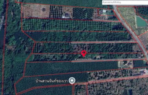 เนื้อที่ 10ไร่ 3งาน 39ตารางวา พร้อมบ้าน 1หลัง B(17/05/69.)
