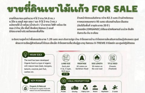 #ขายที่ดินบางละมุง(เขาไม้แก้ว) B(13/09/69.)